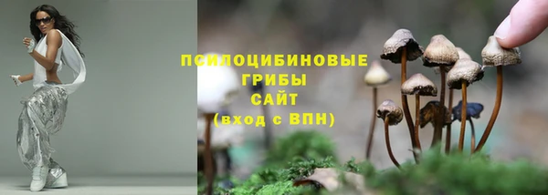 меф Алексин