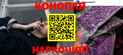 mdpv Камышлов
